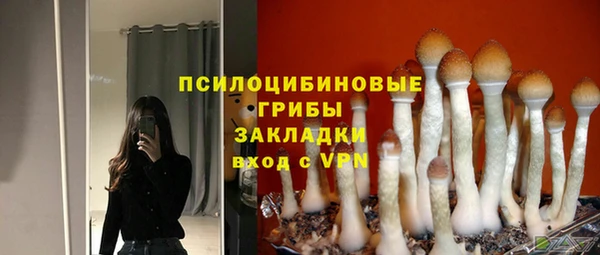 MESCALINE Верхний Тагил
