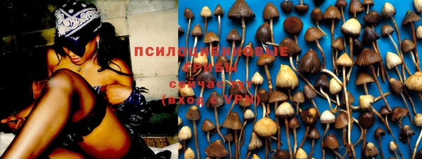 гидра Верея
